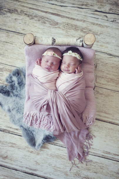 Новонароджені близнюки, загорнуті в обгортку, сплять у березовому ліжку. Синяк любові з народження - сестри лежать разом
. - Фото, зображення