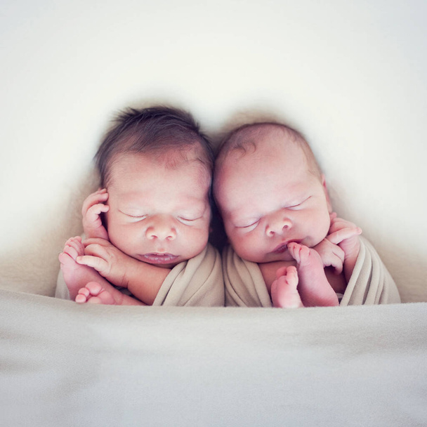 Newborn twins wrapped in a wrap sleeping on blanket. Babies lie together. Sibling love from birth - sisters, brothers. - Photo, Image