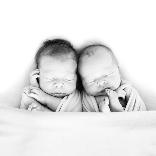Newborn twins wrapped in a wrap sleeping on blanket. Babies lie together. Sibling love from birth - sisters, brothers. Black and white picture - Photo, Image