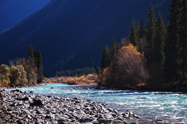 Autumn mountain river - Foto, afbeelding