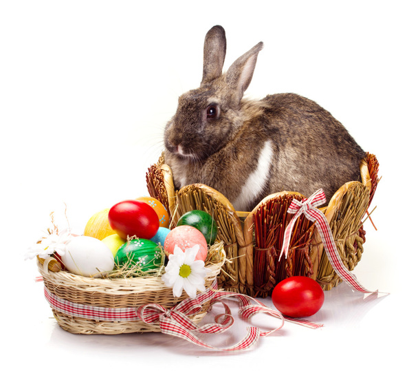 bunny and colorful  eggs - Photo, Image