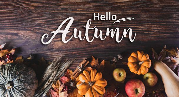 乾燥した葉や暗い木製の背景にカボチャから秋の背景装飾。フラットレイアウト、秋、秋のトップビュー、感謝祭のコンセプト. - 写真・画像