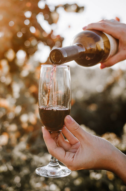 Ragazza sta versando vino rosso nel bicchiere dalla bottiglia contro sfondo campo di vite - Foto, immagini