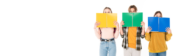 Panoramic shot of teenagers covering faces with notebooks isolated on white - Fotografie, Obrázek