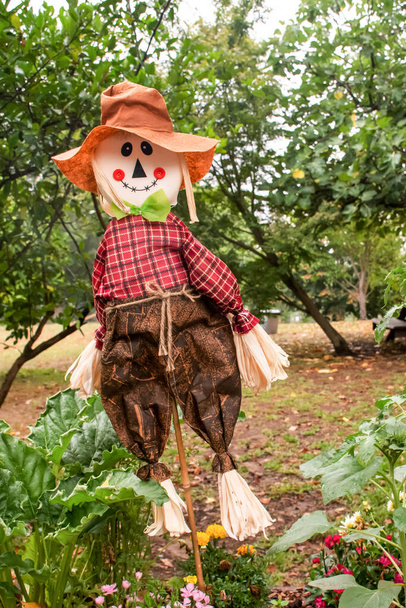 Joli épouvantail portant un chapeau se tient dans le jardin. Concentration sélective - Photo, image
