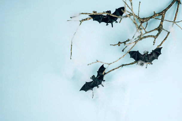 Маленькие игрушки летучих мышей на сухой ветке дерева с паучьей сеткой на Хэллоуин - Фото, изображение