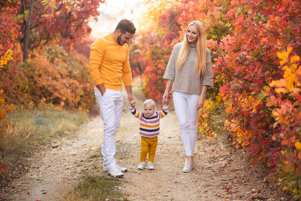A married couple and their little daughter are walking in the autumn forest. People are wearing white pants and brightly colored sweaters. Healthy lifestyle. Family values - Φωτογραφία, εικόνα