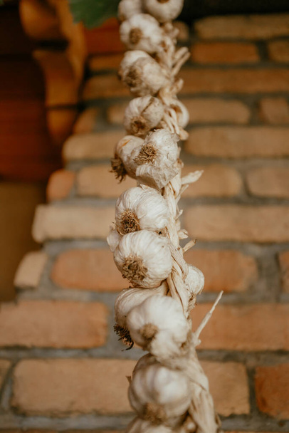colgando trenza de ajo seco en el granero - Foto, Imagen