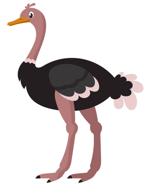 Vista lateral de avestruz de pie. Animal africano en estilo de dibujos animados. - Vector, imagen