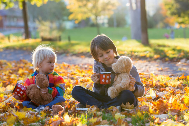 Beautiful toddler child and his older brother, boys, drinking tea in the park with teddy bear friends  on sunset - Foto, Bild