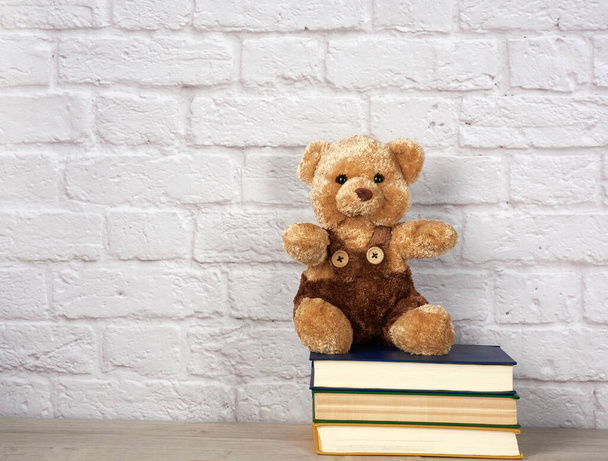 καφέ αρκουδάκι κάθεται σε μια στοίβα από βιβλία, λευκό τούβλο τοίχο, πίσω στο σχολείο - Φωτογραφία, εικόνα