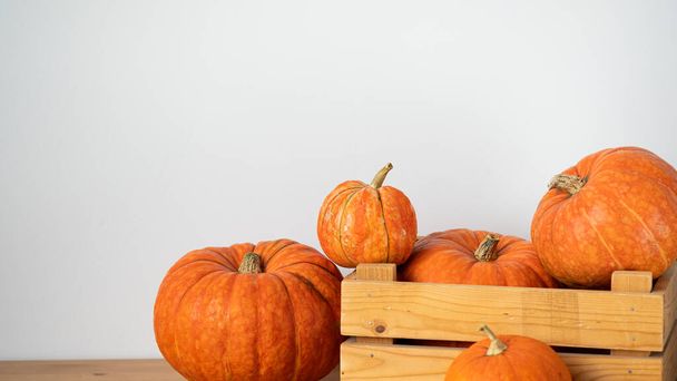Pomarańczowe dynie w drewnianym pudełku na drewnianym stole na białym tle.Halloween, Święto Dziękczynienia, Żniwa. Skupienie selektywne - Zdjęcie, obraz