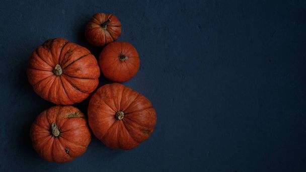 Orange pumpkins on a dark blue background. Template fall harvest thanksgiving halloween anniversary invitation cards. Copy space, top view, flat lay. - Photo, Image