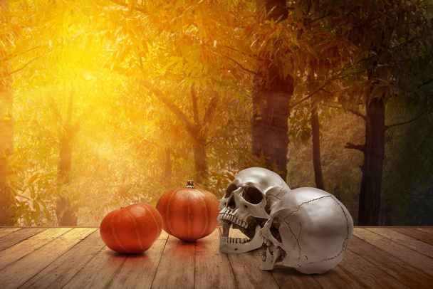 Pumpkin and human skull on wooden table with a forest background - Valokuva, kuva