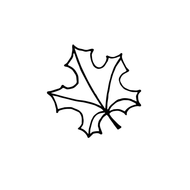 Vector hand drawn doodle sketch maple leaf isolated on white background - Vetor, Imagem