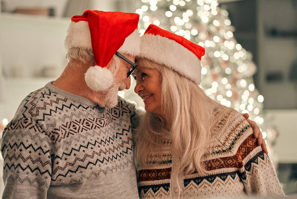 The happy old couple in a red hat standing near the christmas tree - Φωτογραφία, εικόνα