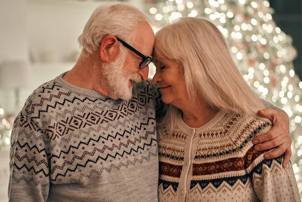 The happy old couple standing on the christmas tree background - 写真・画像