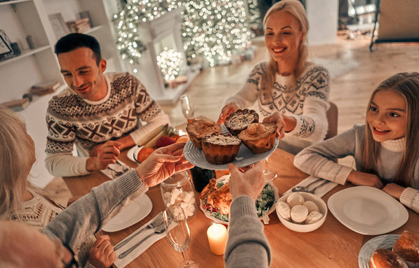 La famiglia felice che fa una cena di Natale - Foto, immagini