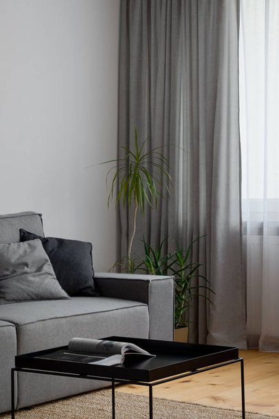 Simple living room corner with dracaena plant, window with gray and white curtains and stylish gray sofa with black coffee table - Foto, Imagen