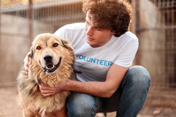 Volunteer taking care of dog in shelter - Фото, изображение