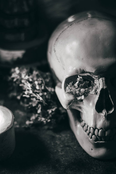 Scena mistica occulta di stregoneria di Halloween rituale: teschio umano, candele, fiori secchi, luna e gufo. Foto in bianco e nero. - Foto, immagini