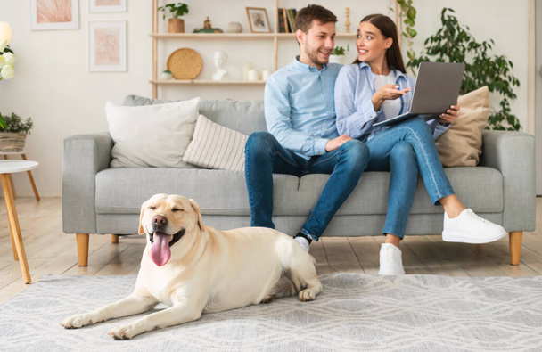 Young couple at home with a tablet and labrador - Photo, Image