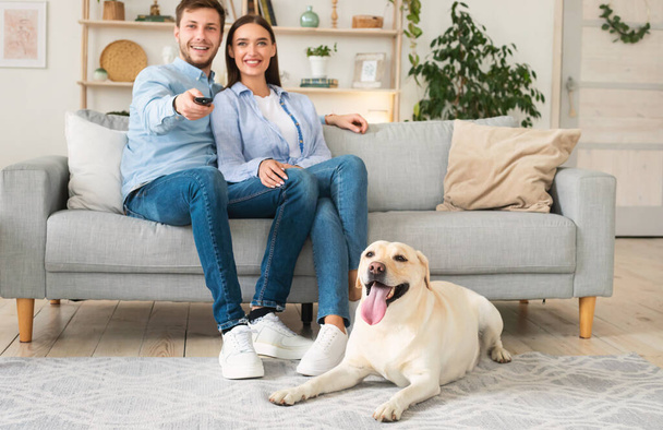 Jeune couple à la maison regarder la télévision avec labrador - Photo, image