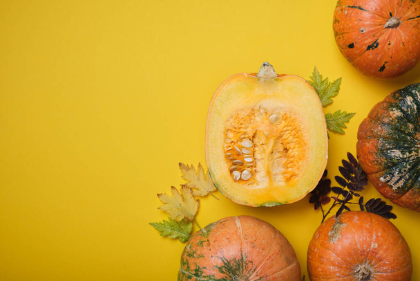 fresh pumpkin on yellow background, pumpkin cut in half and some unusual pumpkins on yellow autumn leaves - Photo, Image