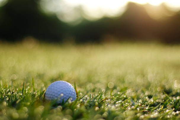Golf ball is on a green lawn in a beautiful golf course with morning sunshine.Ready for golf in the first short.Sports that people around the world play during the holidays for health. - Fotoğraf, Görsel