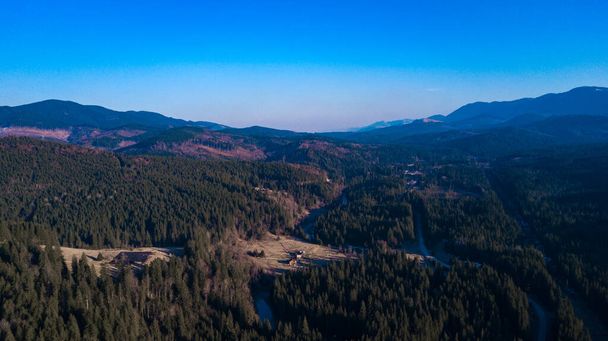 Carpathian mountains landscape pine forest needles aerial photography. - 写真・画像