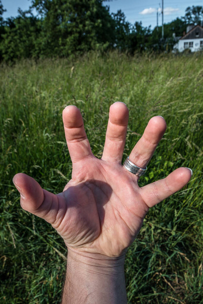 Ruka se stříbrným prstenem před loukou - Fotografie, Obrázek