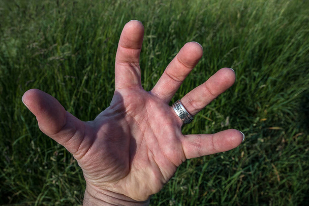牧草地の前に銀のリングを持つ手 - 写真・画像