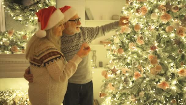 La familia en sombreros rojos decorando el árbol de Navidad. cámara lenta - Metraje, vídeo