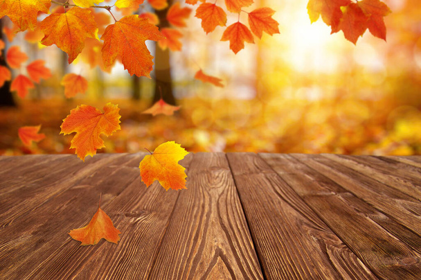 Осенние листья на солнце. Осенний размытый фон. - Фото, изображение