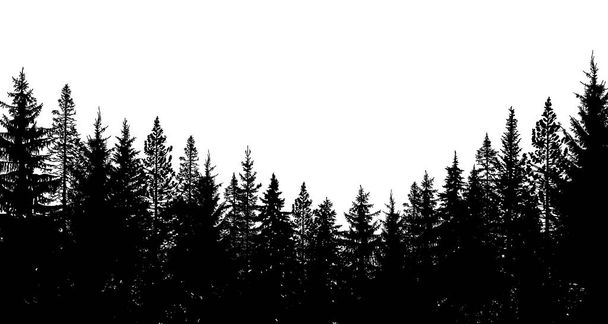 Sfondo astratto. Paesaggio forestale selvaggio. Silhouette di pino. Modello per le tue opere di design. Illustrazione vettoriale. - Vettoriali, immagini