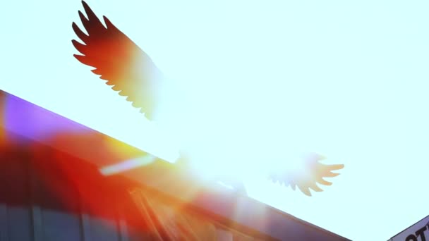 Adelaar die vleugels opwekt die zweven. Amerikaanse vrijheid symbol.houten adelaar - Video