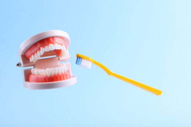 μοντέλα δοντιών και οδοντόβουρτσα αιωρείται στον αέρα σε μπλε φόντο - Φωτογραφία, εικόνα