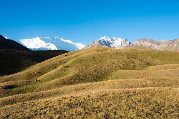 キルギス-キルギスのオシュにあるアライ渓谷の朝の風景。キルギスのパミール山脈. - 写真・画像