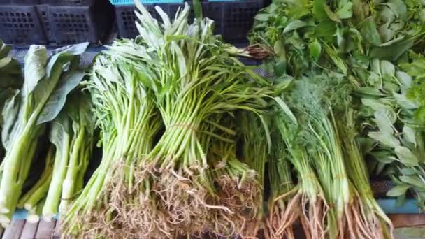 Frisches Grünkohl, Stangenbohnen, Petersilie und anderes Gemüse auf dem asiatischen Markt in Thailand. 4K-VideoclipB - Filmmaterial, Video