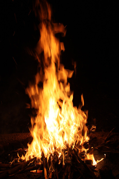 Burning flame or fire isolated on black background - Foto, Imagem