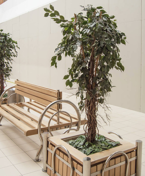 Plante artificielle verte dans les grandes jardinières en bois pour la décoration de la maison et le bureau sans traitement, l'intérieur de la zone de repos du centre commercial - Photo, image