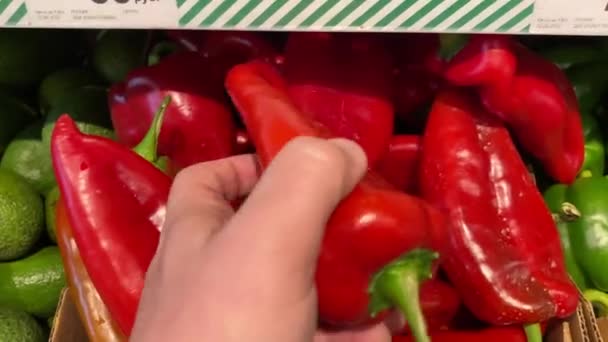 La mano masculina elige pimentón rojo fresco en el mercado local de alimentos. Mercado de alimentos ecológicos. - Metraje, vídeo