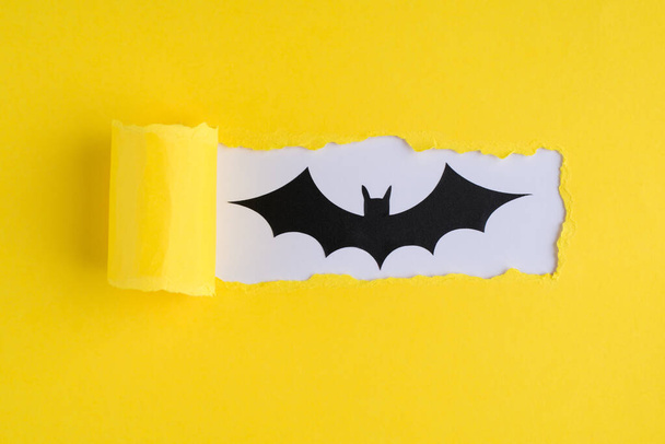 Halloween concept. Top above overhead view close-up photo of torn yellow paper and bat over white background with copyspace - Photo, Image