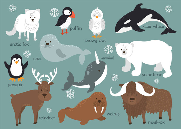 Arktisten eläinten tausta - Vektori, kuva