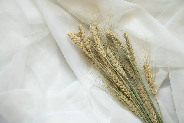 İzole edilmiş beyaz arkaplanda buğday dalları yakın plan - Fotoğraf, Görsel