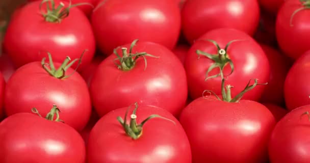 Gesundes rotes Bio-Gemüse in geraden Reihen angeordnet - Filmmaterial, Video