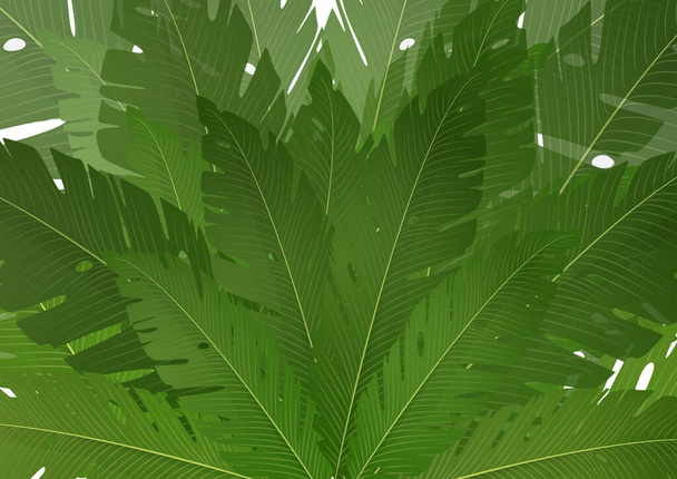 Composición de hojas exóticas de plátano de palma sobre un fondo blanco. Ilustración vectorial de verano para su diseño. - Vector, Imagen