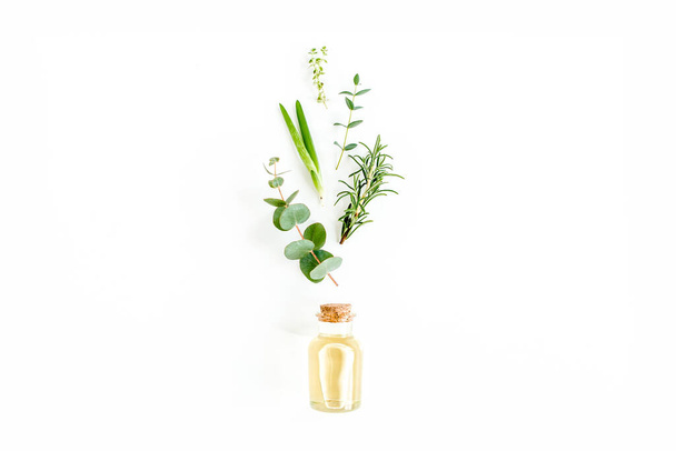 Essential oil and mix of herbs, green branches, leaves eucalyptus, aloe Vera, rosemary, thyme on white background. Flat lay. Top view. - 写真・画像