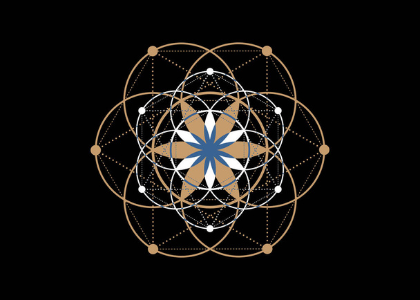 Seed of life symbol Sacred Geometry.  Geometric mystic mandala of alchemy esoteric Flower of Life. Colorful fashion vector divine meditative amulet isolated on black background - Vector, Image