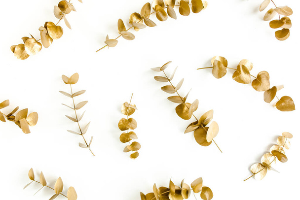 Pattern made of gold branches, eucalyptus leaves on a white background. flat layout, top view - 写真・画像